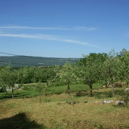 Apartamento Spacious In With Garden *